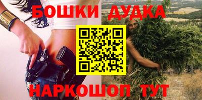 индика Нарткала