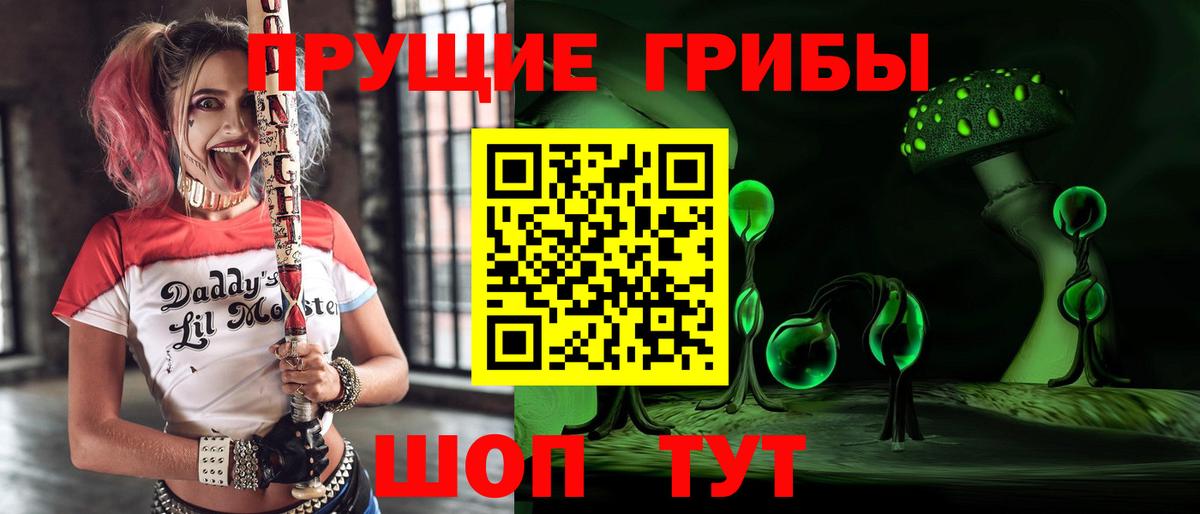Старая Купавна  Псилоцибиновые грибы Magic Shrooms  Вход с VPN 